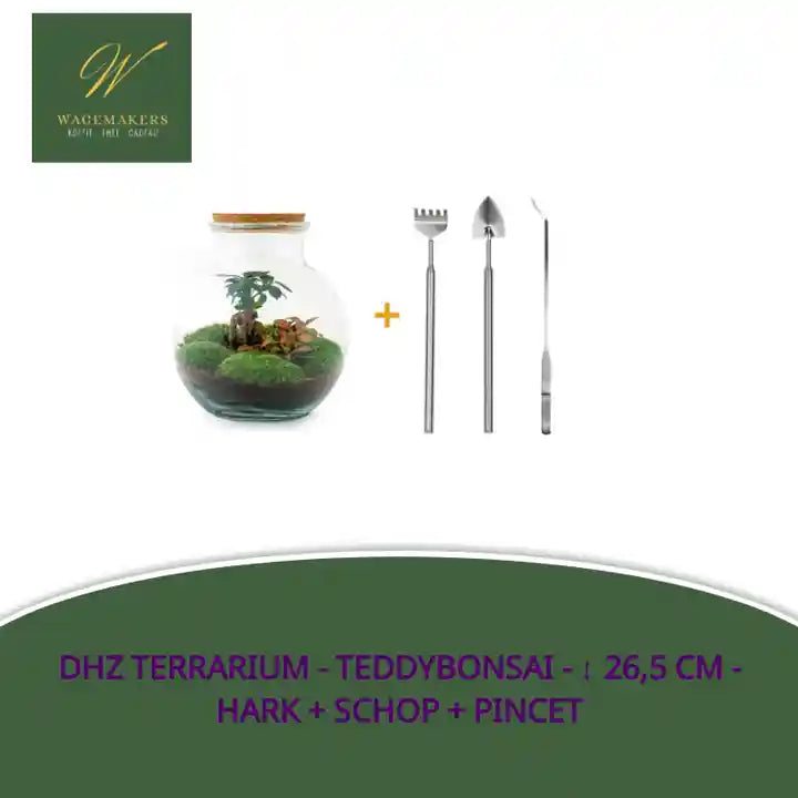 DHZ terrarium - Teddybonsai - ↕ 26,5 cm - Hark + Schop + Pincet by@Outfy