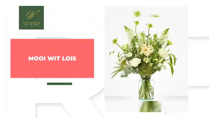 Mooi Wit Lois by@Outfy