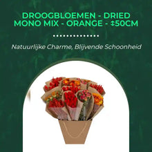 Droogbloemen - Dried Mono Mix - Orange - ↕50cm by@Outfy