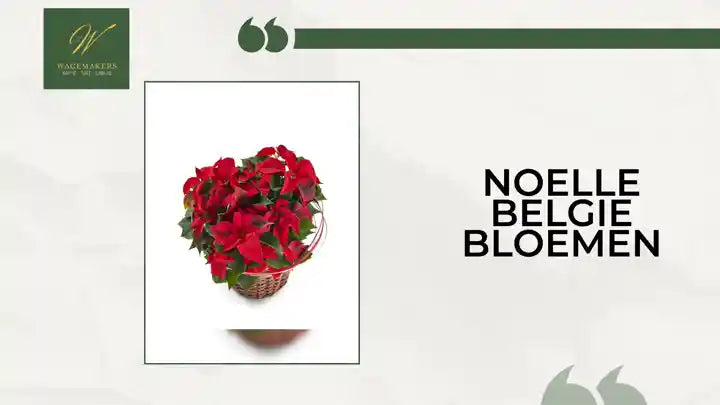 Noelle Belgie Bloemen by@Outfy