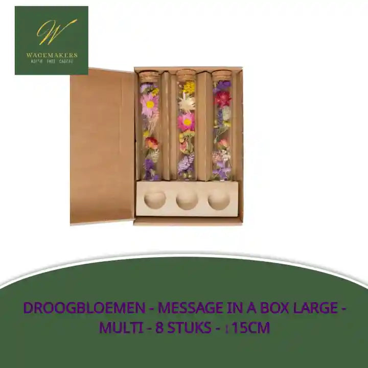 Droogbloemen - Message in a Box Large - Multi - 8 stuks - ↕15cm by@Outfy
