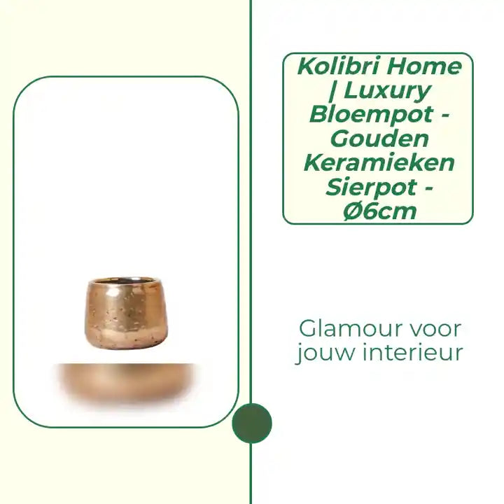 Kolibri Home | Luxury bloempot - Gouden keramieken sierpot - &Oslash;6cm by@Outfy