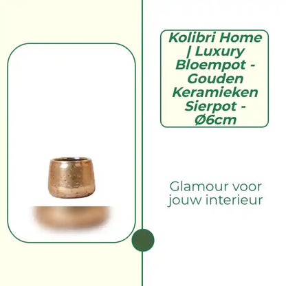 Kolibri Home | Luxury bloempot - Gouden keramieken sierpot - &Oslash;6cm by@Outfy