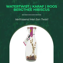 Watertwist | Karaf | Roos Bergthee Hibiscus by@Outfy