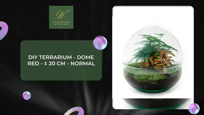 DIY terrarium - Dome Red - ↕ 20 cm - Normal by@Outfy