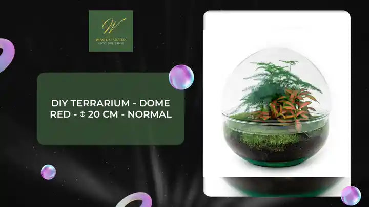 DIY terrarium - Dome Red - ↕ 20 cm - Normal by@Outfy