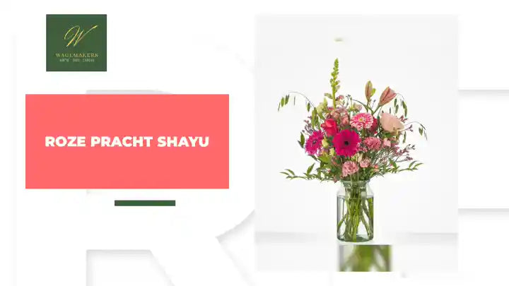 Roze Pracht ShaYu by@Outfy