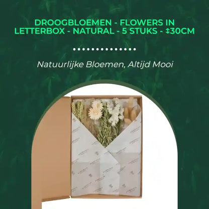 Droogbloemen - Flowers in Letterbox - Natural - 5 stuks - ↕30cm by@Outfy