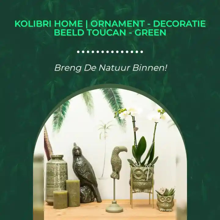 Kolibri Home | Ornament - Decoratie beeld Toucan - Green by@Outfy