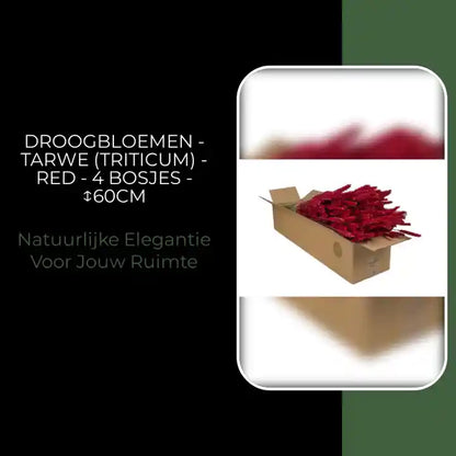 Droogbloemen - Tarwe (Triticum) - Red - 4 bosjes - ↕60cm by@Outfy