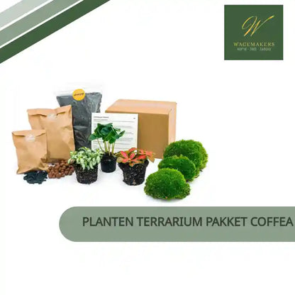 Planten terrarium pakket Coffea Arabica - Navulling &amp; Startpakket- DIY by@Outfy