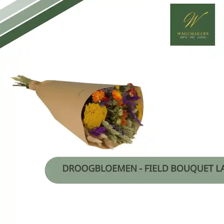 Droogbloemen - Field Bouquet Large - Orange - ↕60cm by@Outfy
