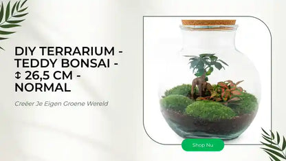 DIY terrarium - Teddy bonsai - ↕ 26,5 cm - Normal by@Outfy
