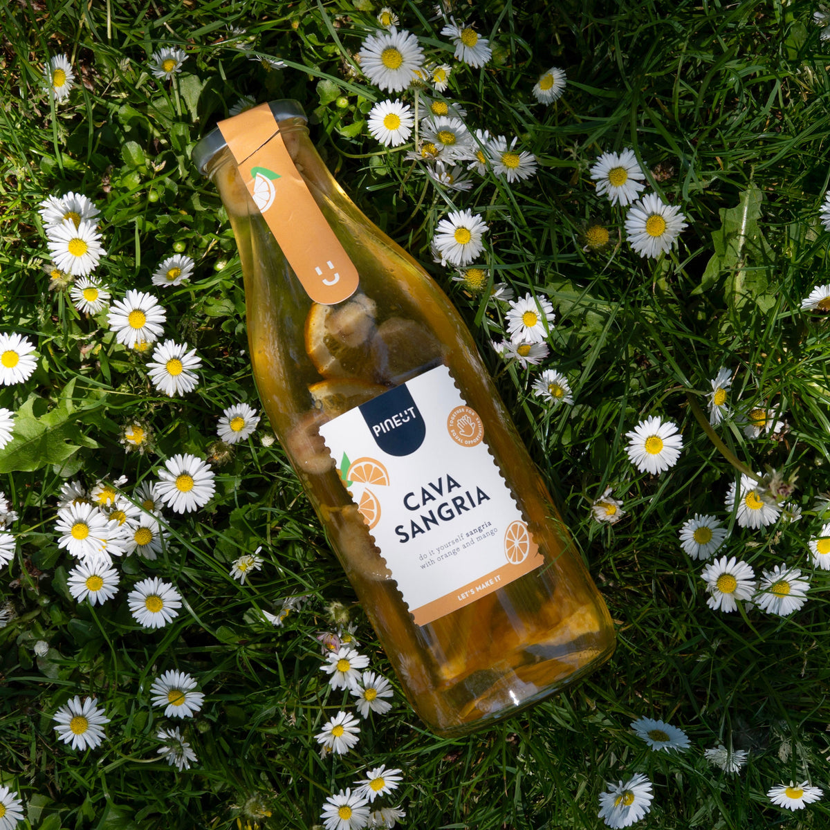Cava Sangria| BIO