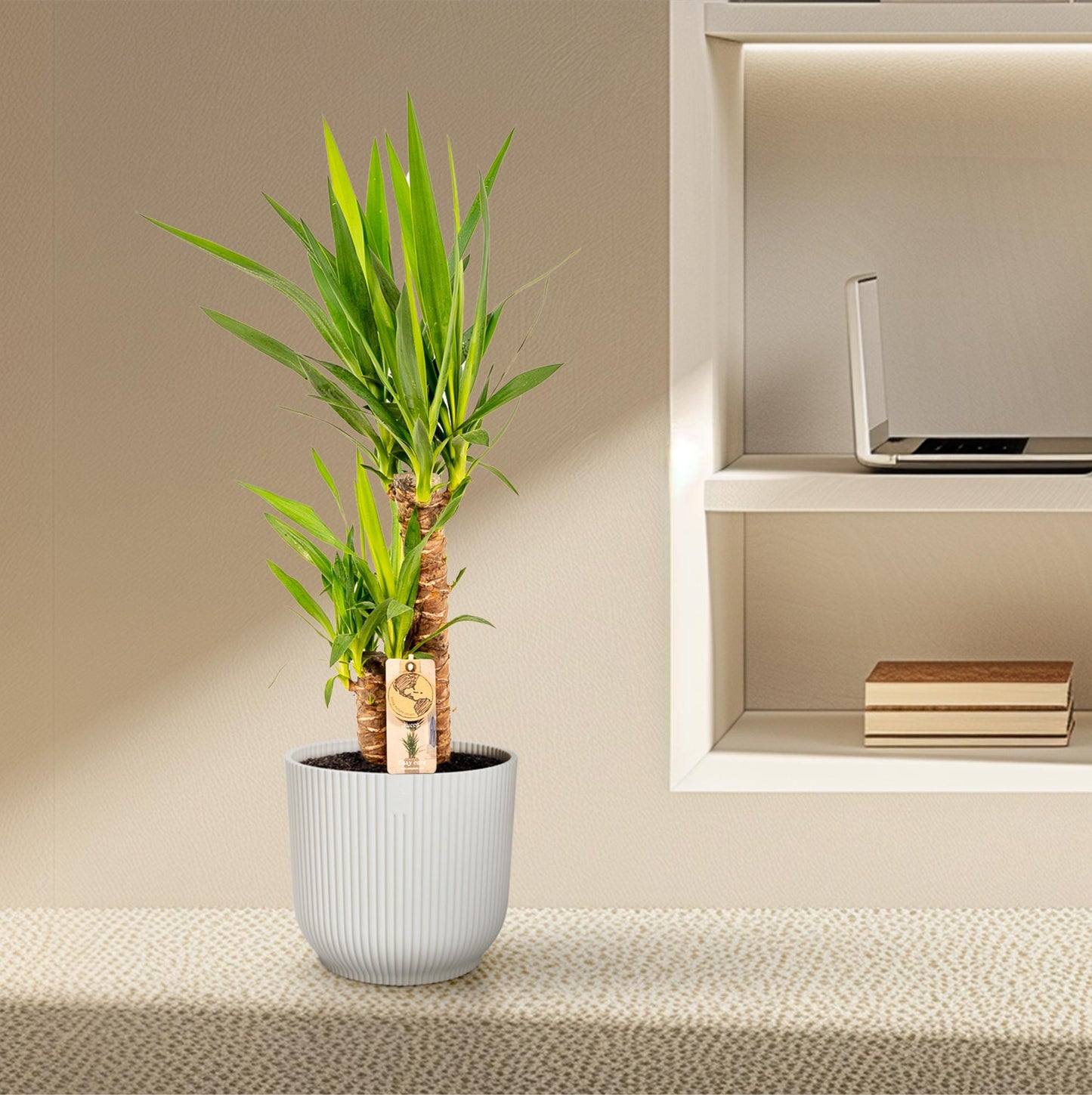 Yucca - Ø17cm - ↕90cm