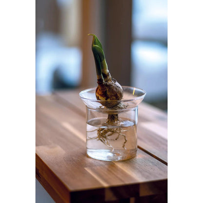 Propagation vase M - Ø 9 cm ↕ 11,5 cm