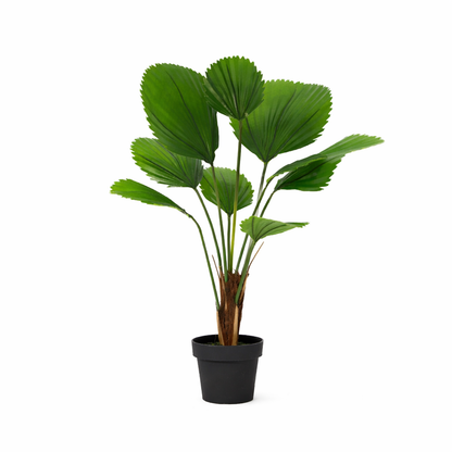 ARTIFICIAL Licuala Grandis - 104cm