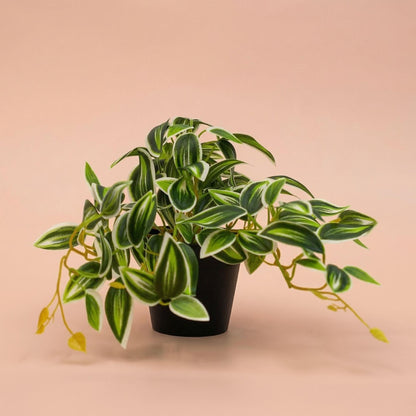 Tradescantia Groen/Wit in pot - 19 cm - Kunstplant