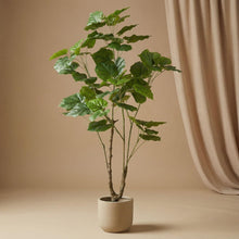 Ficus Schirmbaum 125 cm - Künstliche Pflanze