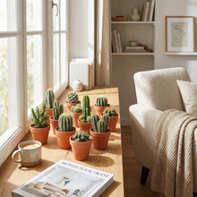 Mini Cactus Mix - 6 Stuks - Ø 8,1 cm - Hoogte: 5-10 cm - Terracotta Potten