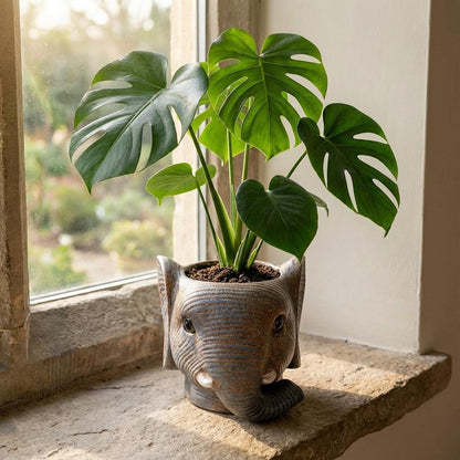 Planter Olifant D11/12x10cm - Grijs - D11/12x10cm