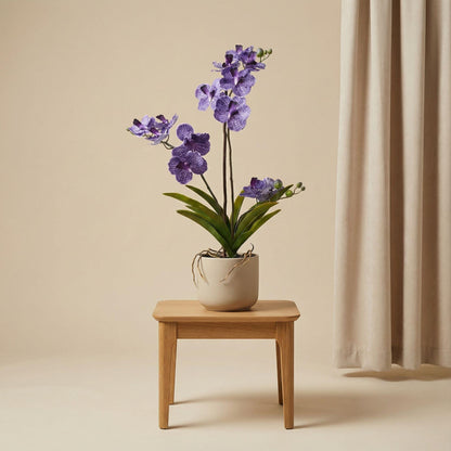 Orchidee Vanda, künstliche Pflanze, 60 cm – Lila – Im Topf – Künstliche Pflanze