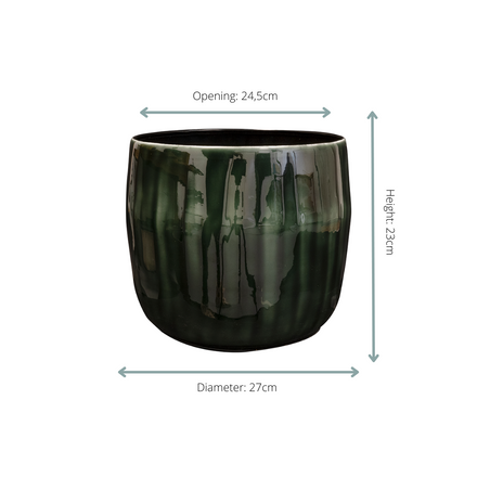 Pot Babet Pine - D27 x H23