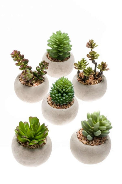 Kunst mini vetplanten in cementen pot - Succulent mix set 6 - Ø 6,5