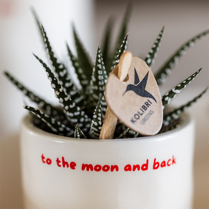 Kolibri Home | To the moon and back sierpot - Ø6cm