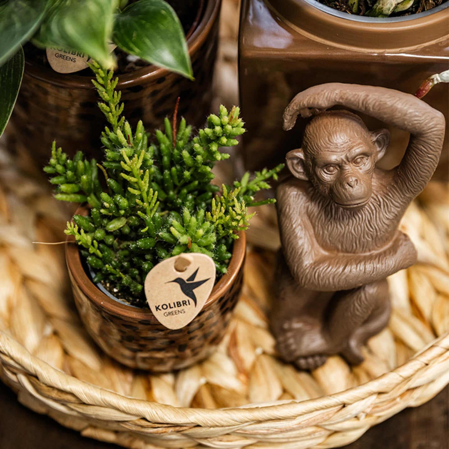 Kolibri-Heim | Ornament – ​​Dekorative Affenfigur – Sitzender Affe – Braun