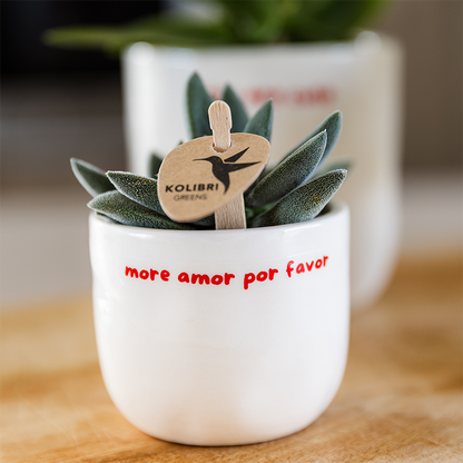 Kolibri Home | To the moon and back sierpot - Ø6cm