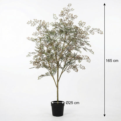 ARTIFICIAL Bucida - 165cm