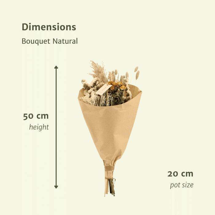 Droogbloemen Field Bouquet Natural - Ø20cm - ↕50cm