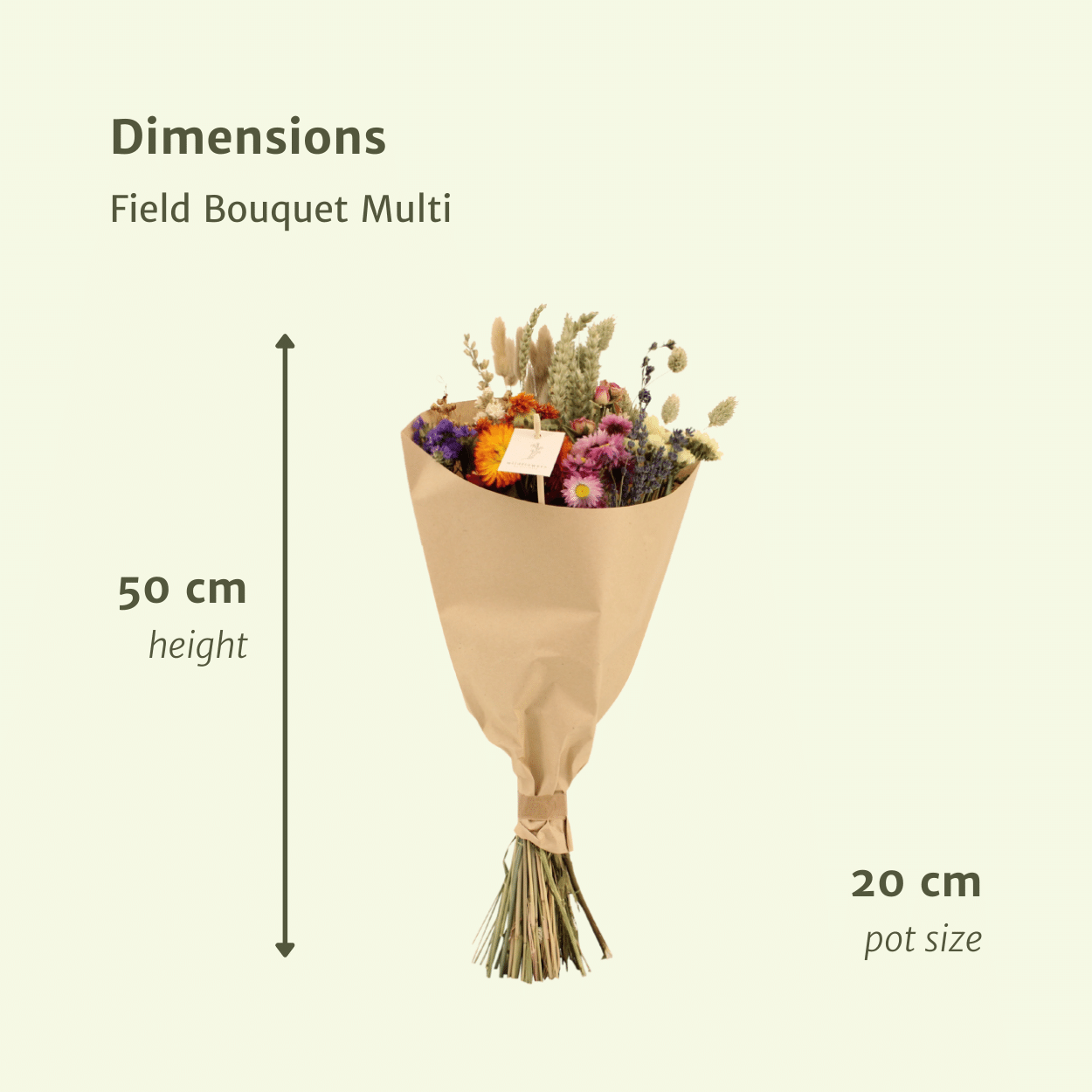 Getrockneter Feldstrauß, mehrfarbig – Ø 20 cm – Ø 50 cm