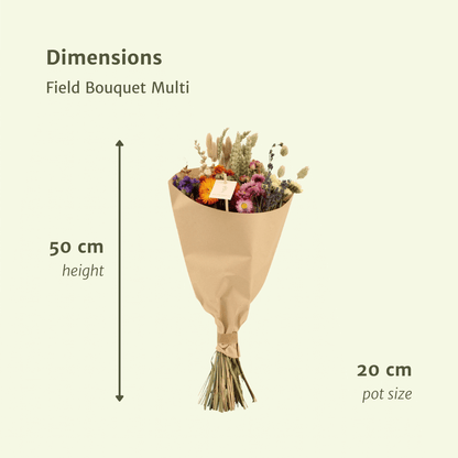Getrockneter Feldstrauß, mehrfarbig – Ø 20 cm – Ø 50 cm