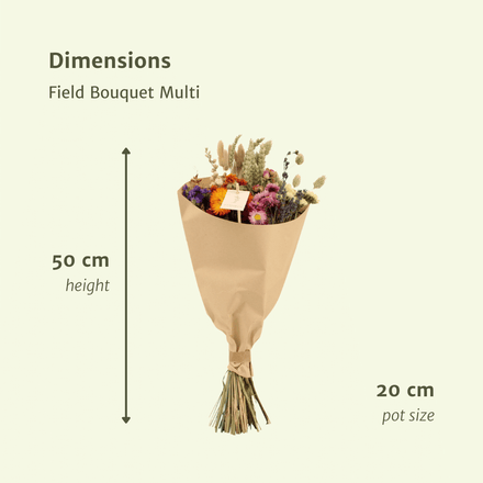 Dried flowers Field Bouquet Multi - Ø20cm - ↕50cm