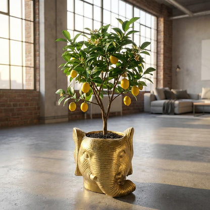 Planter Olifant D11/12x10cm - Goud - D11/12x10cm