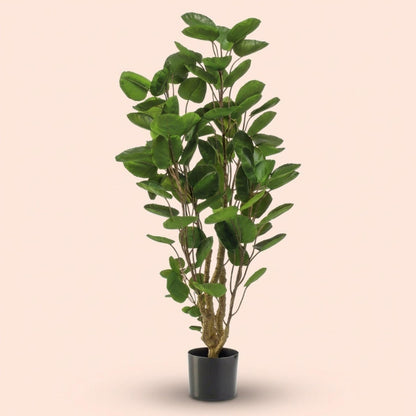 Polyscias boom - 105 cm - Kunstplant