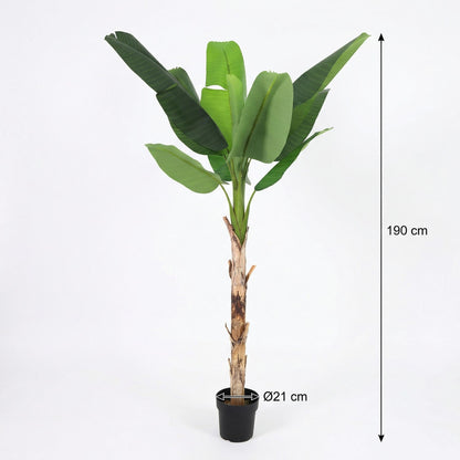 ARTIFICIAL Bananenplant Musa - 190cm