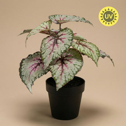 Begonia - 26 cm in pot - Artificial plant - Artificial plant - UV - Indoor & Outdoor