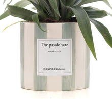 Ananas Rosita Gift "The Passionate" WITH GREETING CARD! - Ø12cm - ↕35cm
