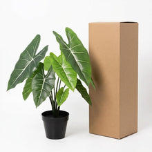 ARTIFICIAL Alocasia Polly - 40cm