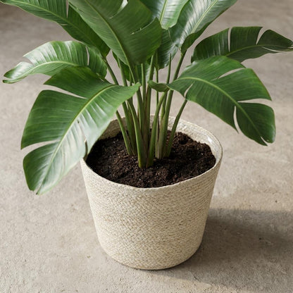 Mand Selin - Ø26cm - ↨23cm