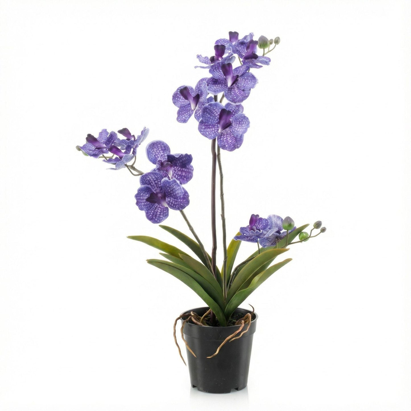 Orchidee Vanda, künstliche Pflanze, 60 cm – Lila – Im Topf – Künstliche Pflanze