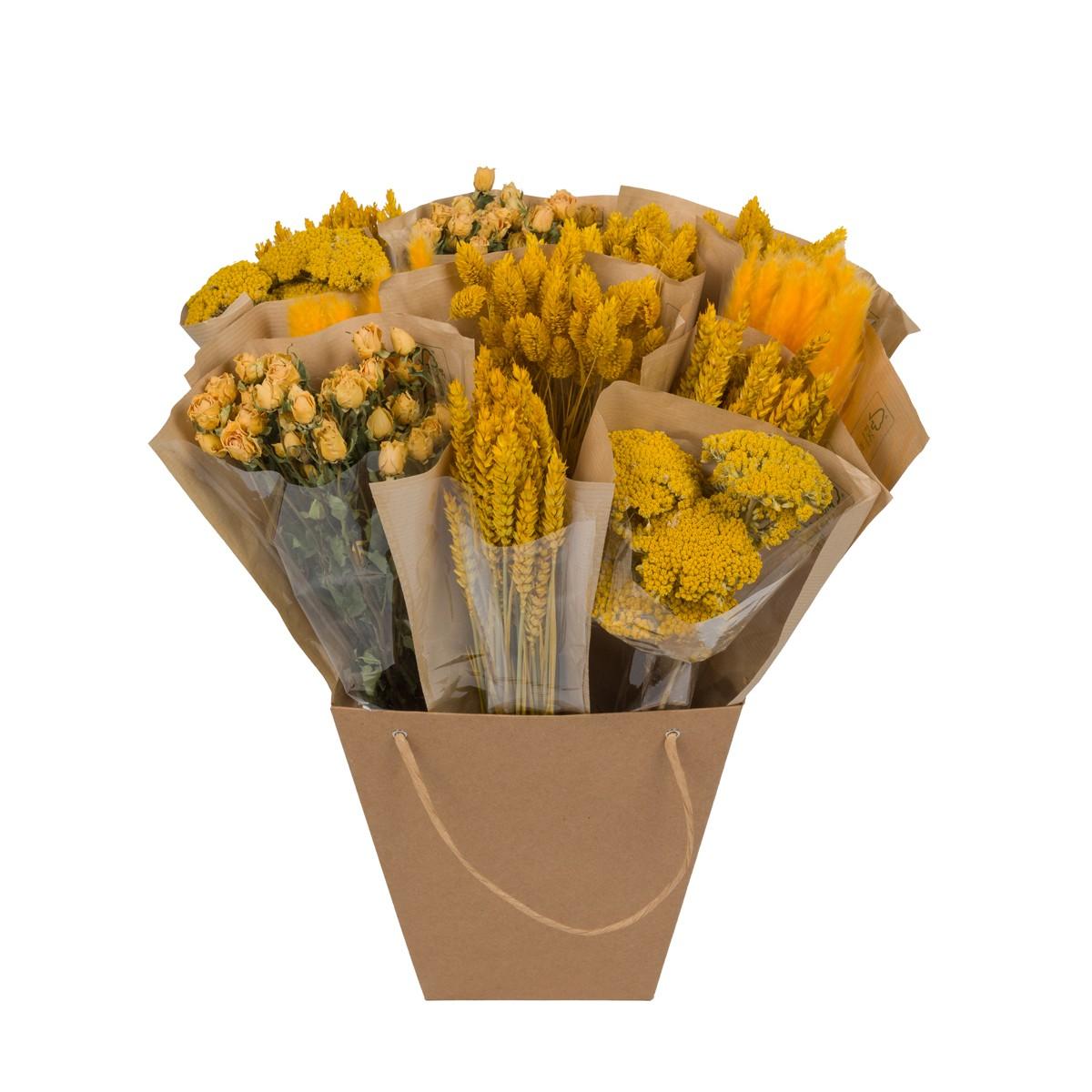 Trockenblumen – Getrocknete Mono-Mischung – Gelb – ↕50 cm