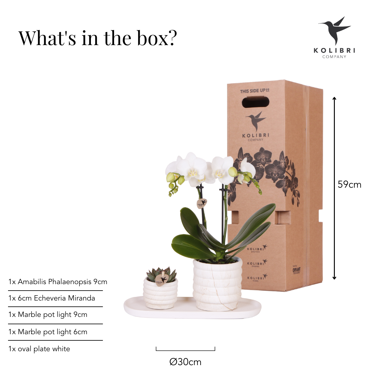 Kolibri Company | Plantenset Slow Living small met orchidee in keramische potten op wit organisch dienblad