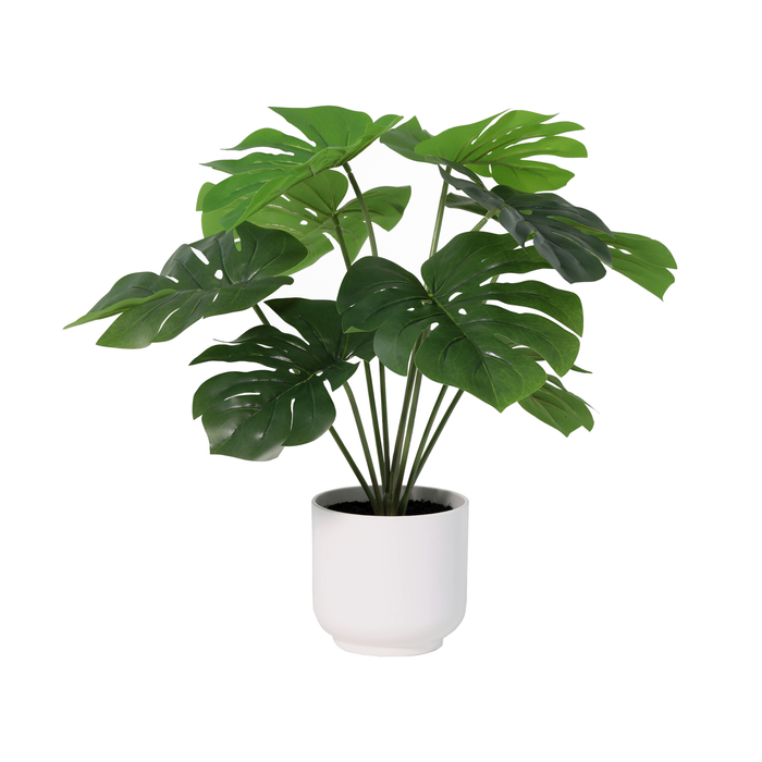 ARTIFICIAL Monstera Deliciosa including white pot - 50cm