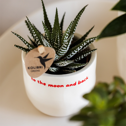 Kolibri Home | To the moon and back sierpot - Ø6cm