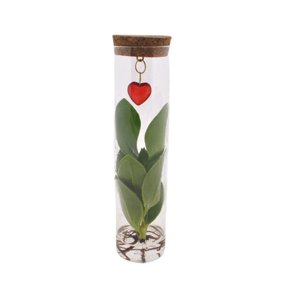 Mix In Tube Glass + Jewel (heart) - Ø7cm - ↕15cm