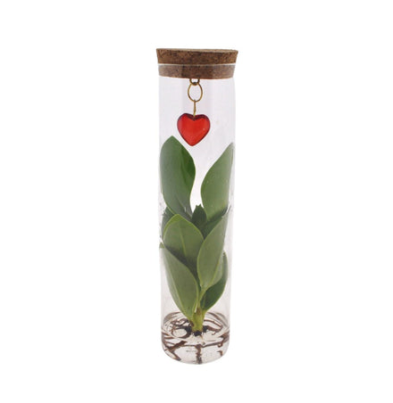 Mix In Tube Glass + Jewel (heart) - Ø7cm - ↕15cm